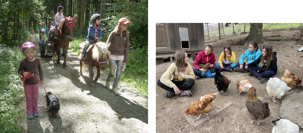 27. April – Pferde-Spaziergang  mit Reiten und Tiere füttern